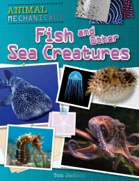 Cover image: Fish and Other Sea Creatures 9781508150237