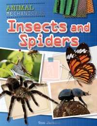 Imagen de portada: Insects and Spiders 9781508150244