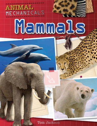 Cover image: Mammals 9781508150251