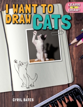 Omslagafbeelding: I Want to Draw Cats 9781508167785