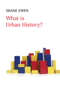 Cover image: What is Urban History? 1st edition 9780745652689