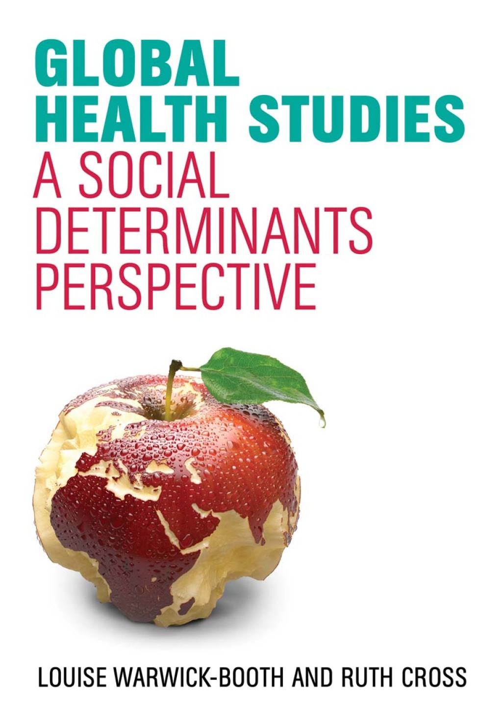 Global Health Studies: A Social Determinants Perspective 1st Edition