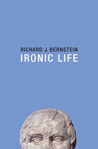 Cover image: Ironic Life 1st edition 9781509505722