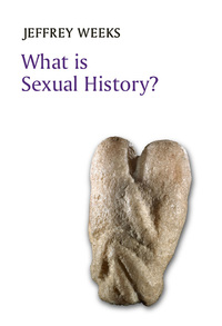 Cover image: What is Sexual History? 1st edition 9780745680255