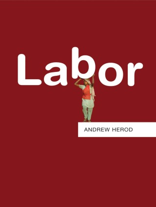 Imagen de portada: Labor 1st edition 9780745663876