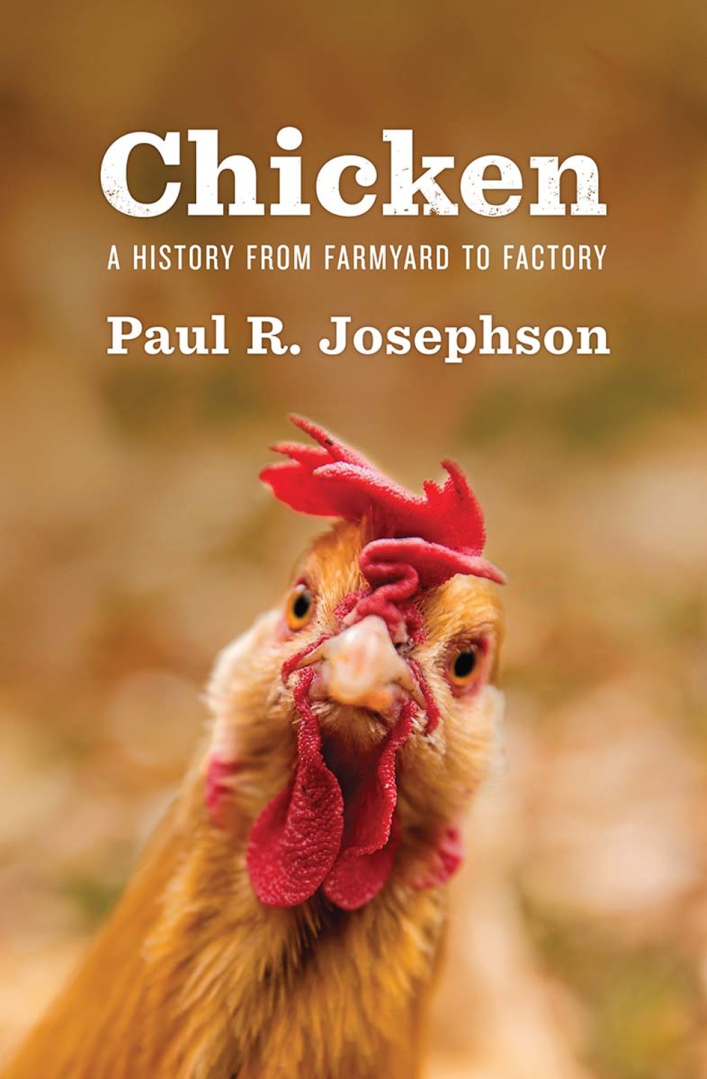 Chicken A History from Farmyard to Factory 1st Edition