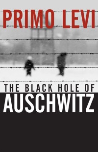 Cover image: The Black Hole of Auschwitz 1st edition 9780745632414