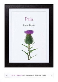 Cover image: Pain: A Sociological Introduction 1st edition 9780745655550