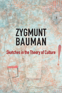 Cover image: Sketches in the Theory of Culture 1st edition 9781509528301