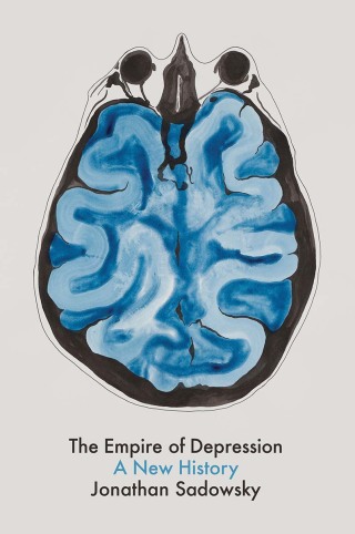 Cover image: The Empire of Depression 1st edition 9781509531646