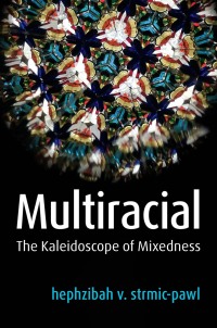 Cover image: Multiracial 1st edition 9781509534661