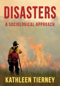 Cover image: Disasters 1st edition 9780745671017
