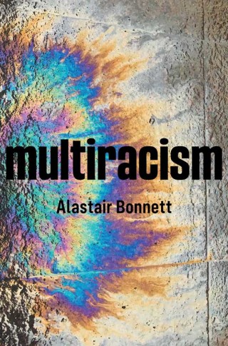 Imagen de portada: Multiracism 1st edition 9781509537310