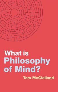 Cover image: What is Philosophy of Mind? 1st edition 9781509538775