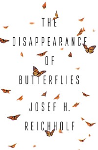 Cover image: The Disappearance of Butterflies 1st edition 9781509539796