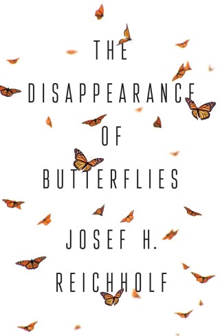 Titelbild: The Disappearance of Butterflies 1st edition 9781509539796