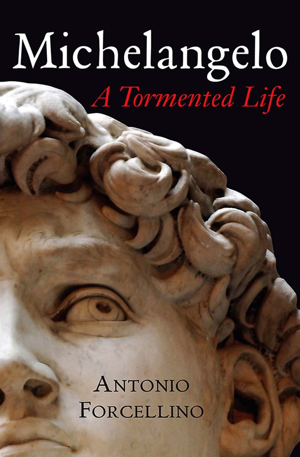 Michelangelo A Tormented Life 1st Edition