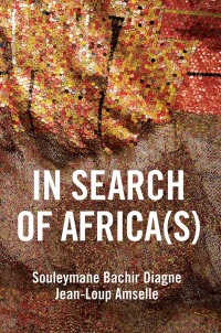 Cover image: In Search of Africa(s) 1st edition 9781509540297