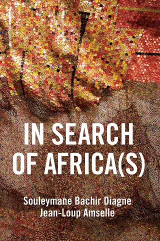 Cover image: In Search of Africa(s) 1st edition 9781509540297