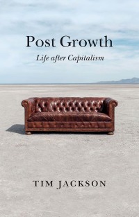 Omslagafbeelding: Post Growth 1st edition 9781509542512