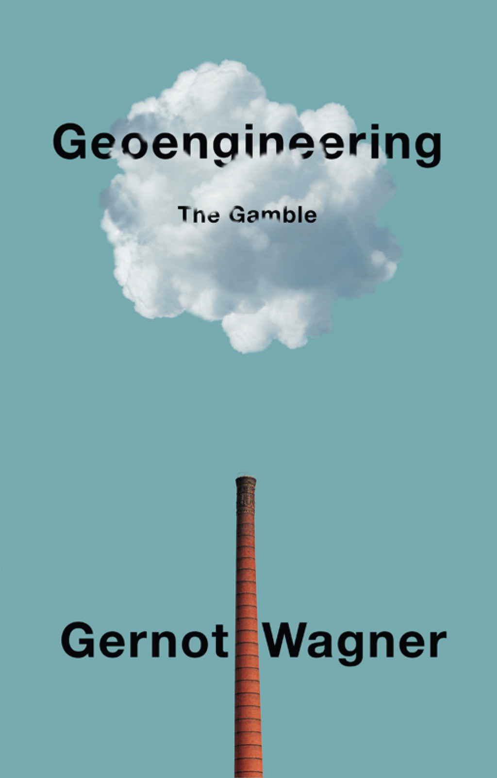 Geoengineering The Gamble 1st Edition