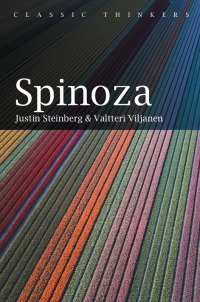 Cover image: Spinoza 1st edition 9780745664903