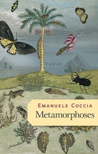 صورة الغلاف: Metamorphoses 1st edition 9781509545667