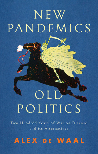 Titelbild: New Pandemics, Old Politics 1st edition 9781509547807