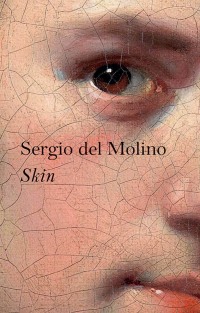 Cover image: Skin 1st edition 9781509547852