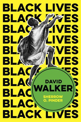 Cover image: David Walker 1st edition 9781509548279