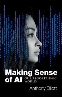 Cover image: Making Sense of AI 1st edition 9781509548897