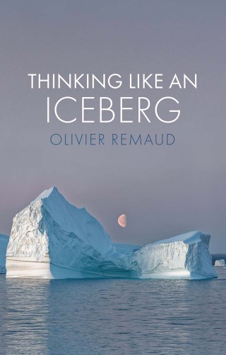 Cover image: Thinking Like an Iceberg 1st edition 9781509551477