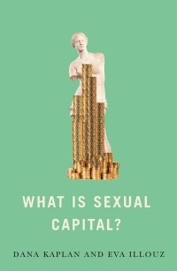 Cover image: What is Sexual Capital? 1st edition 9781509552313