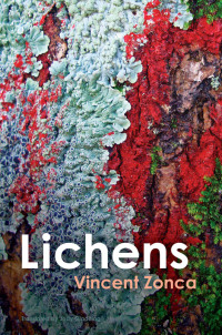 Cover image: Lichens 1st edition 9781509553457