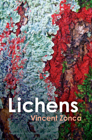 Imagen de portada: Lichens 1st edition 9781509553457