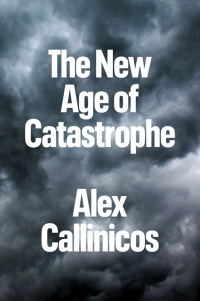 Cover image: The New Age of Catastrophe 1st edition 9781509554164