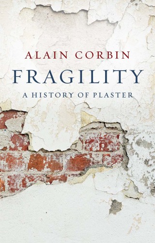 Imagen de portada: Fragility 1st edition 9781509565955