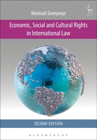 Imagen de portada: Economic, Social and Cultural Rights in International Law 1st edition 9781849466073