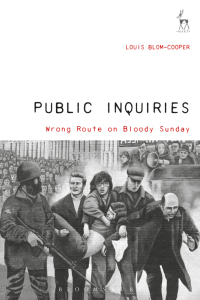 Titelbild: Public Inquiries 1st edition 9781509906789
