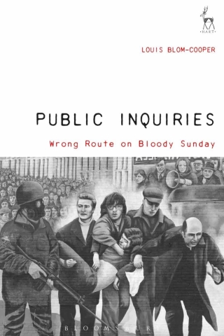 Cover image: Public Inquiries 1st edition 9781509906789