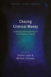 Imagen de portada: Chasing Criminal Money 1st edition 9781509931293