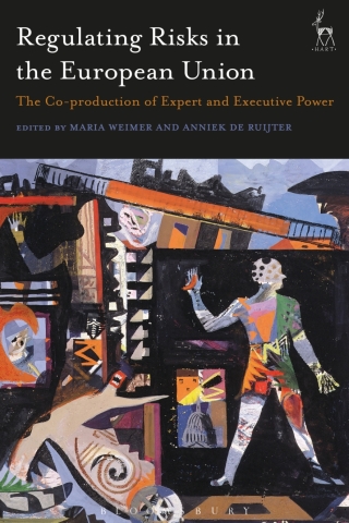 Cover image: Regulating Risks in the European Union 1st edition 9781509936601