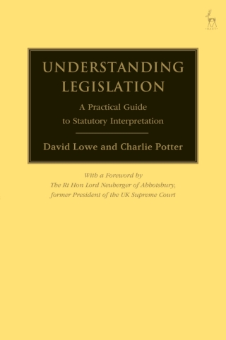 Cover image: Understanding Legislation 1st edition 9781849466417