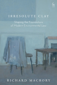 Cover image: Irresolute Clay 1st edition 9781509928118