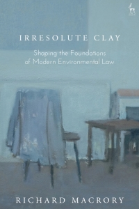 Cover image: Irresolute Clay 1st edition 9781509928118