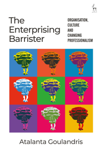 Cover image: The Enterprising Barrister 1st edition 9781509943999