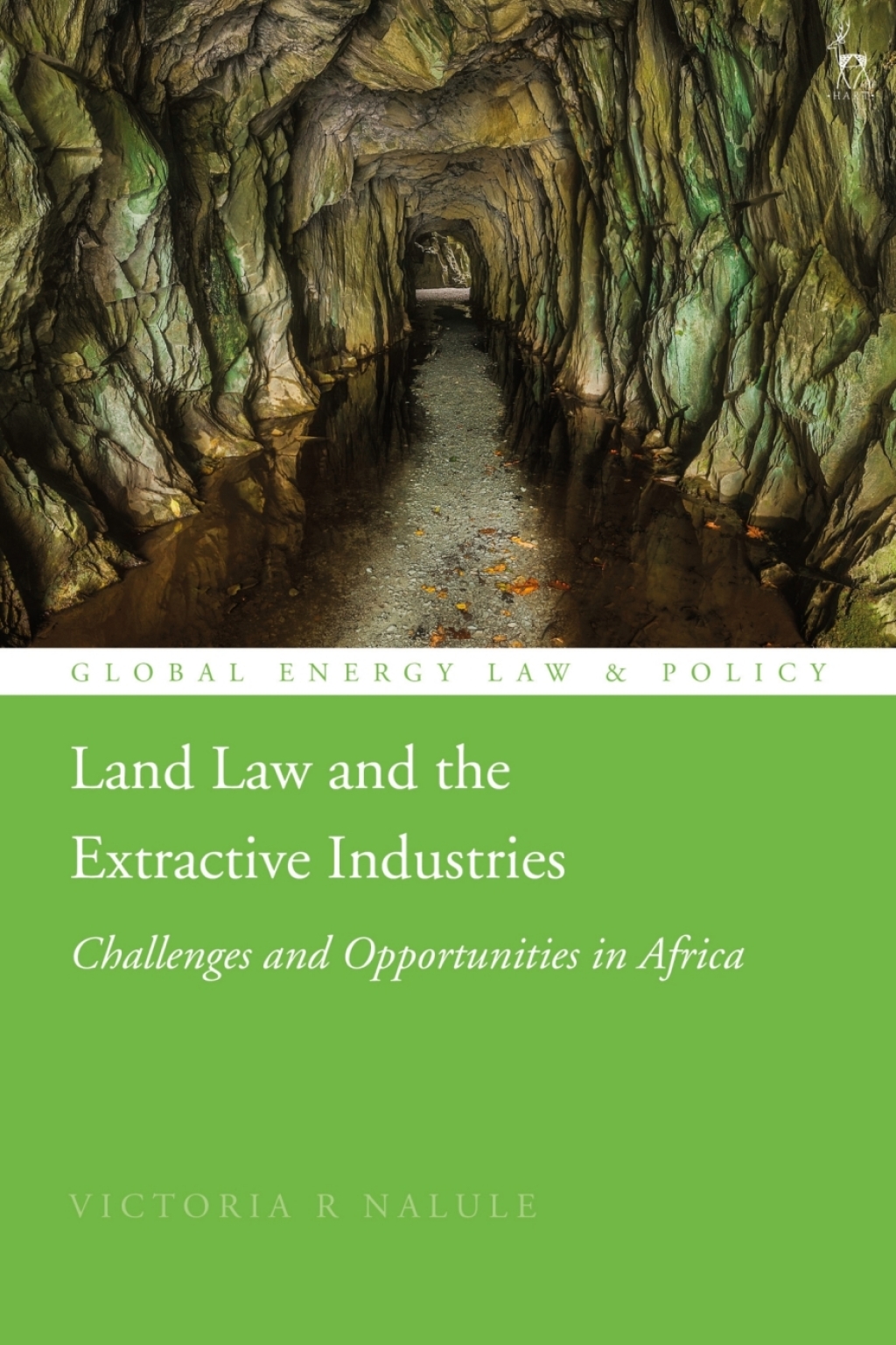 Land Law and the Extractive Industries Challenges and Opportunities in Africa 1st Edition