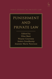 Titelbild: Punishment and Private Law 1st edition 9781509949465