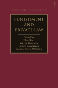 Cover image: Punishment and Private Law 1st edition 9781509949465