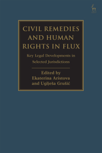 Cover image: Civil Remedies and Human Rights in Flux 1st edition 9781509947638